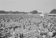 Spectators At Lord's